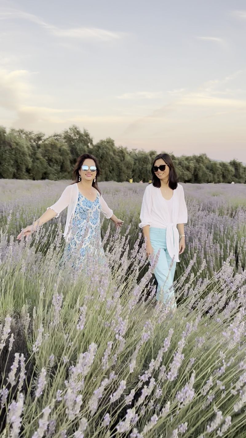 Annual Lavender Festival Celebration