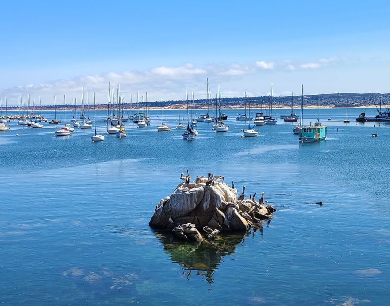 Marine Wildlife Encounters Happen Without Planning