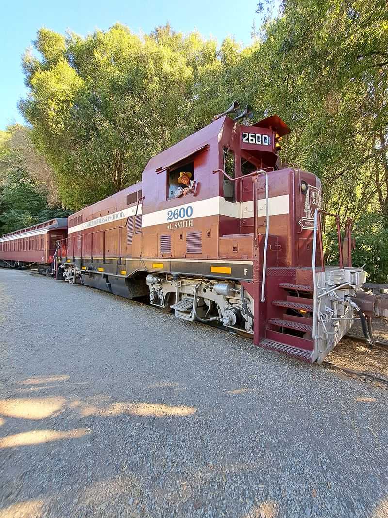 This Vintage Train Ride Through California Feels Like Traveling Back In Time - Decor Hint Redwood Forest Steam Train Climbs Bear Mountain