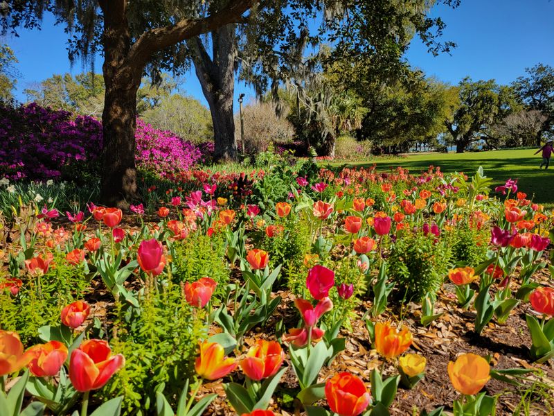 Seasonal Blooms Create Spectacular Displays