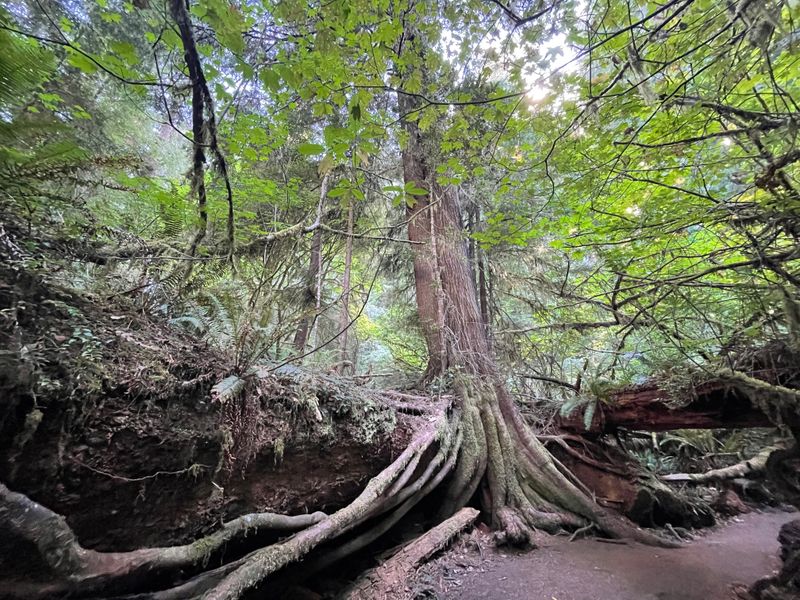 Environmental Impact