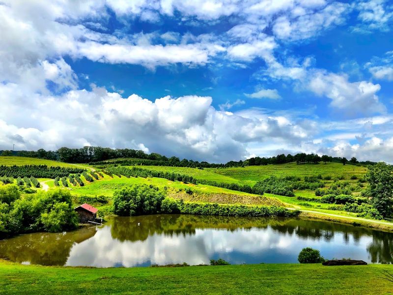 This Beloved Mountain Farm Mercier Orchards Blue Ridge Georgia Is A 2026 Must-Visit - Decor Hint Scenic Blue Ridge Mountain Views Surrounding the Farm