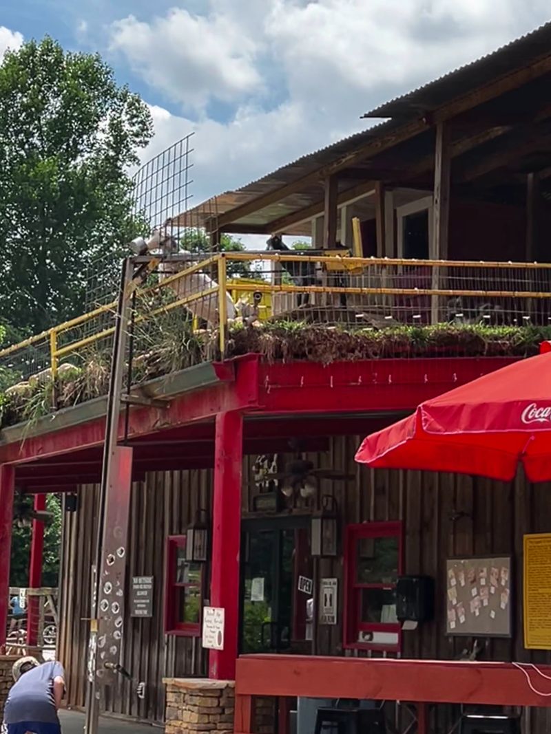 Perfect Road Trip Pit Stop