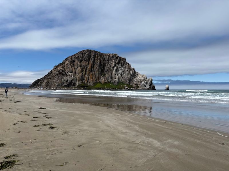 14 Unforgettable Dog Beaches In California That Will Make Your Pup Happier Than Ever - Decor Hint Morro Bay Dog Beach