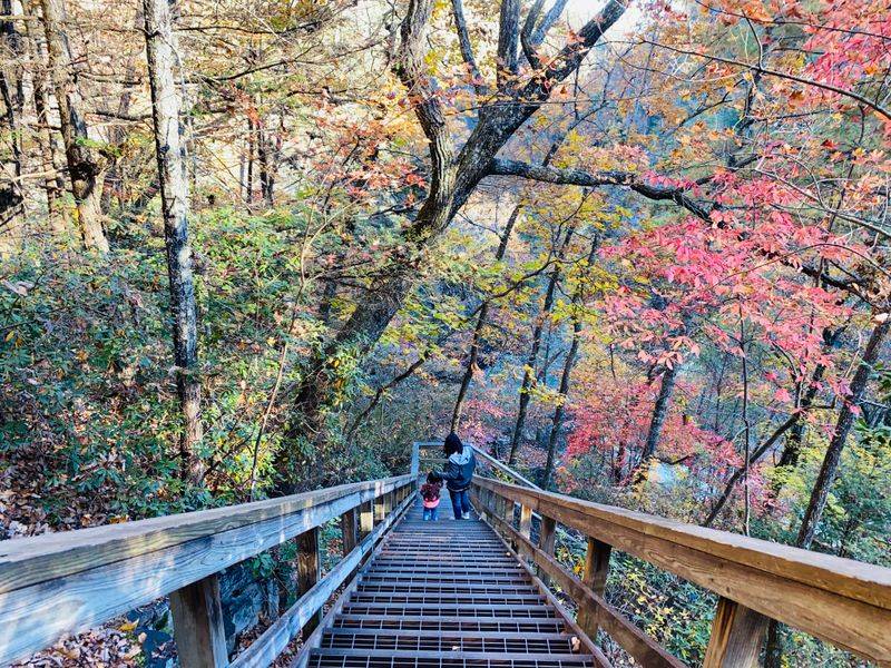 Challenging Gorge Floor Trail