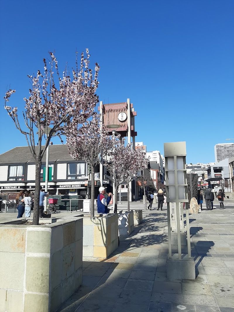This Spring Cherry Blossom Festival In California Is So Surreal, You'll Think You're In A Dream - Decor Hint Bonsai Displays Showcase Miniature Landscapes