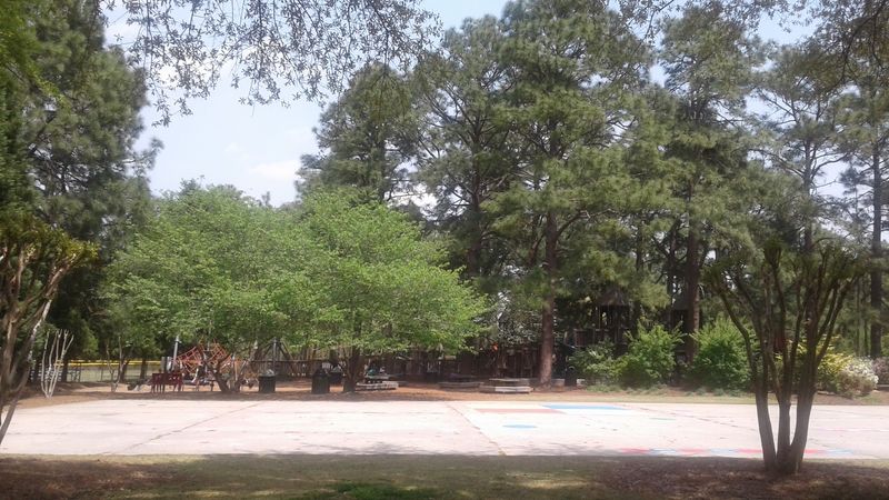 Additional Athletic Fields And Recreation Options