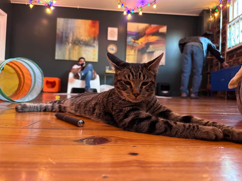 Special Events And Activities