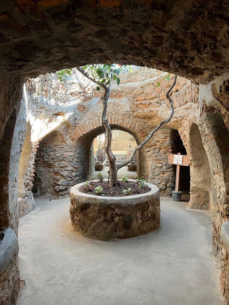 Fruit Trees Growing Below Ground