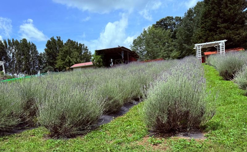 Peaceful Atmosphere Perfect For Relaxation