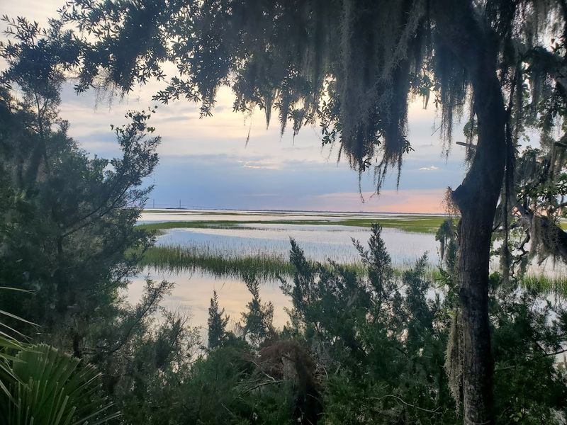 Views Of The Marshes Of Glynn