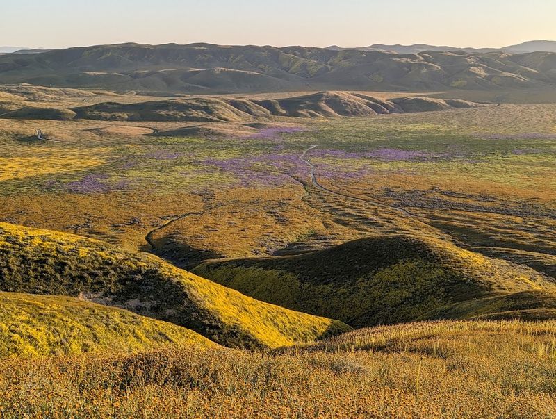 Carrizo Plain National Monument