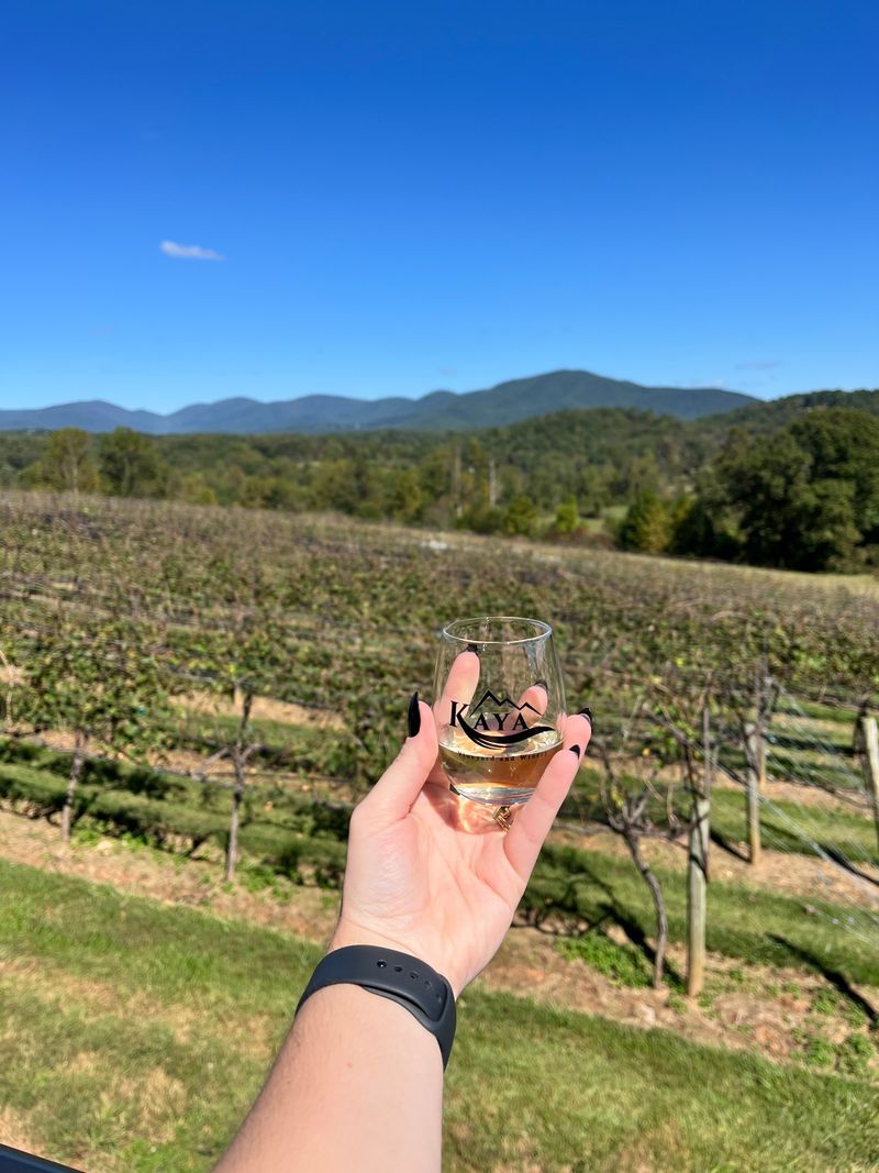 Dahlonega Wine Country