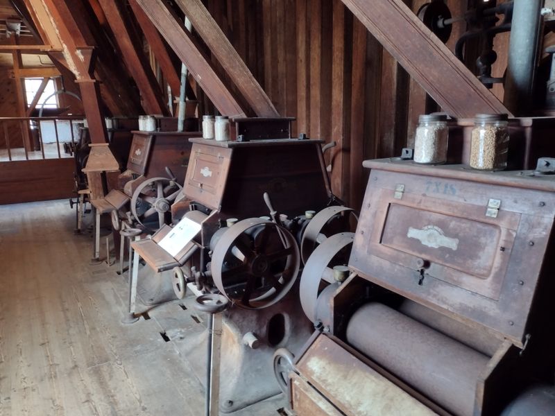 The Wheathouse Gallery's Artistic Transformation