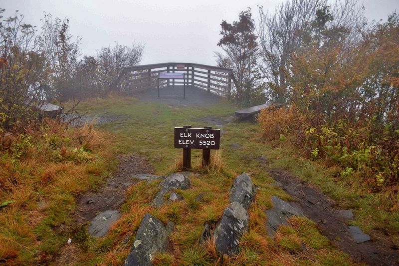 Elk Knob State Park, Todd