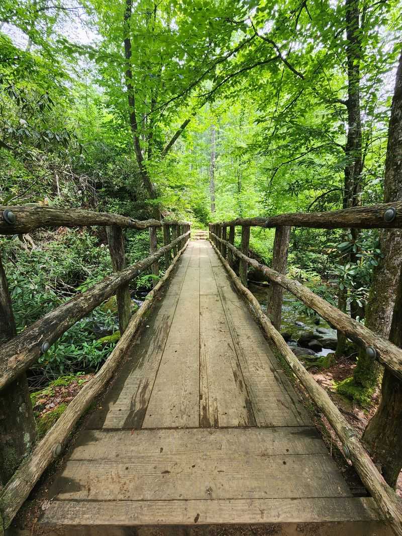 Planning Your Spring Visit Successfully