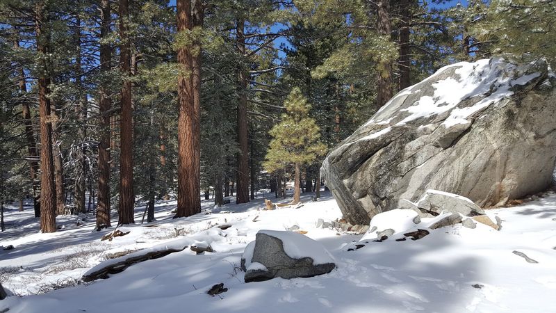 21 Best Places To Visit In California In March - Decor Hint Idyllwild