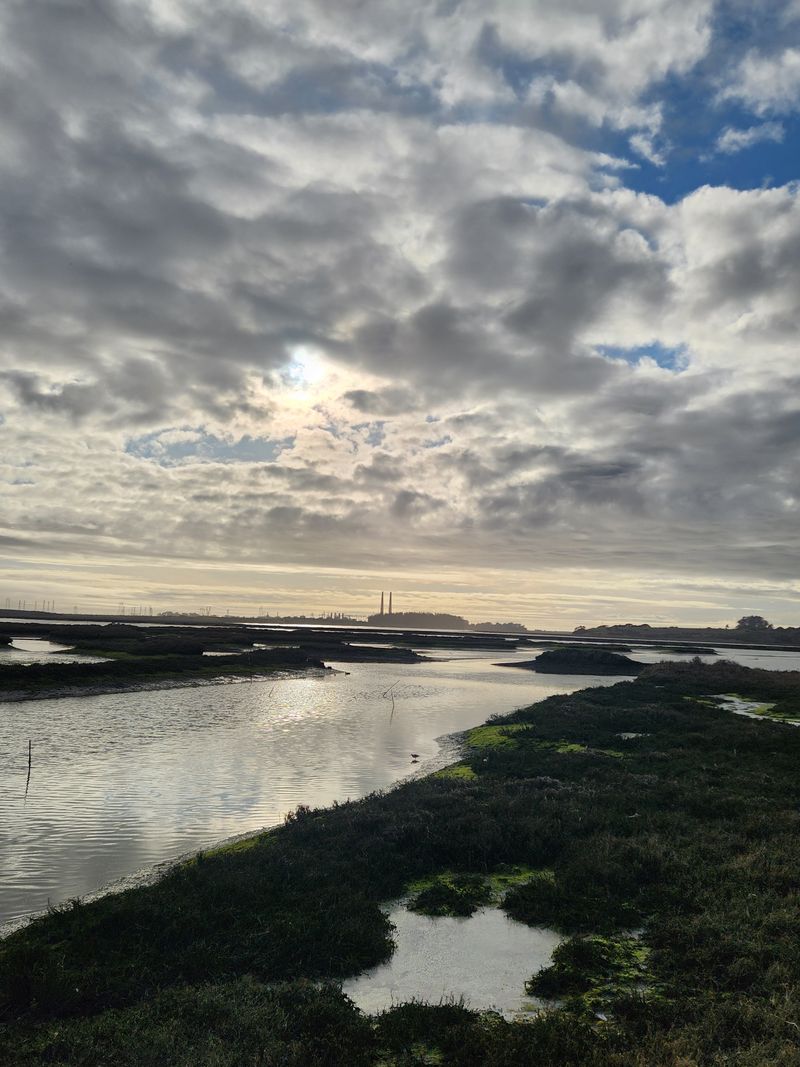 Guided Boat Tours Offer Comfortable Wildlife Viewing