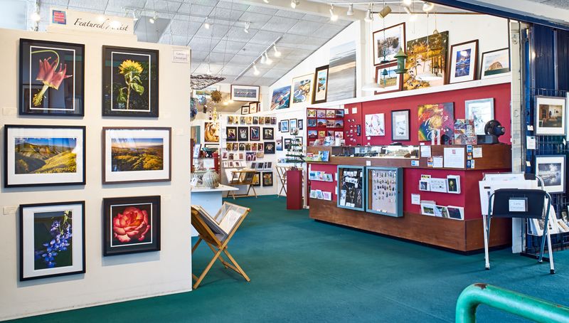 Local Art Galleries Showcase Creative Community