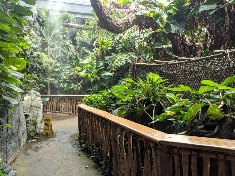 Indoor Rainforest Brings Tropics Downtown