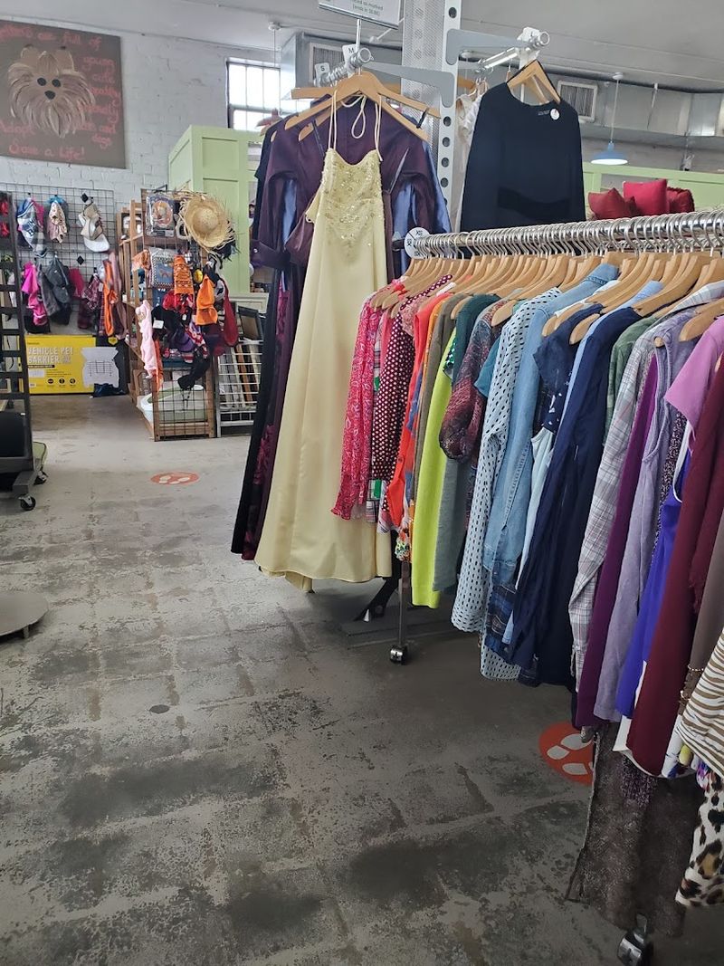 New Inventory Arrives Constantly