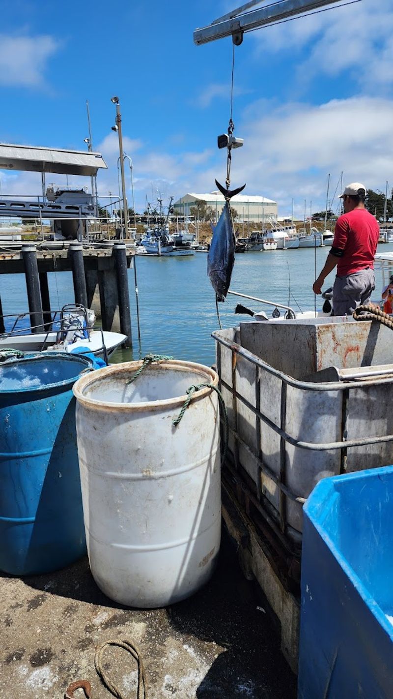 Sea Harvest Fish Market, Moss Landing