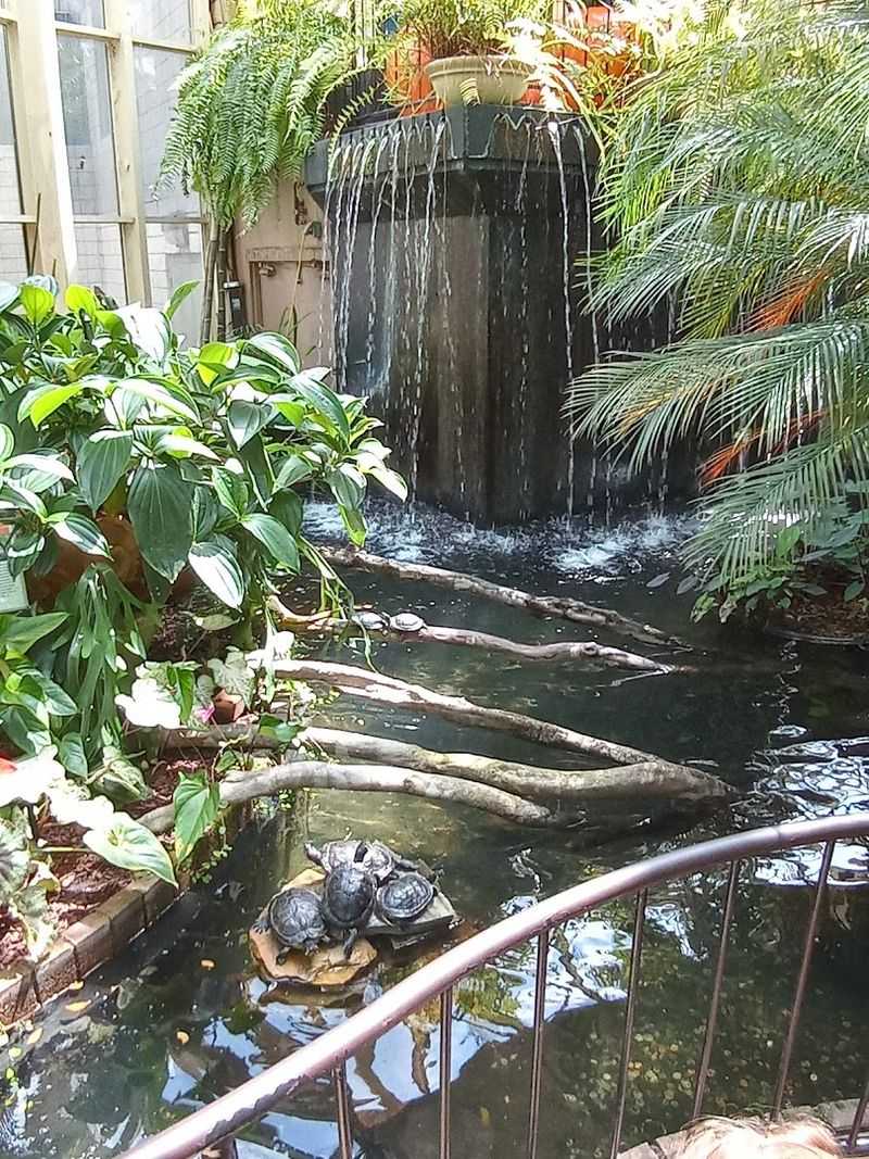 Interactive Experiences That Keep Kids Fully Engaged