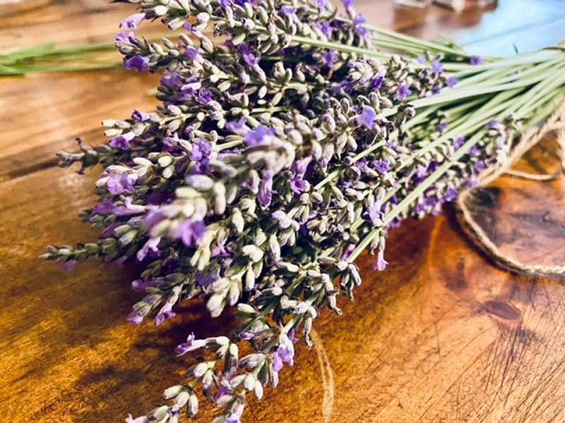 Wedding Arrangements With Dried French Lavender
