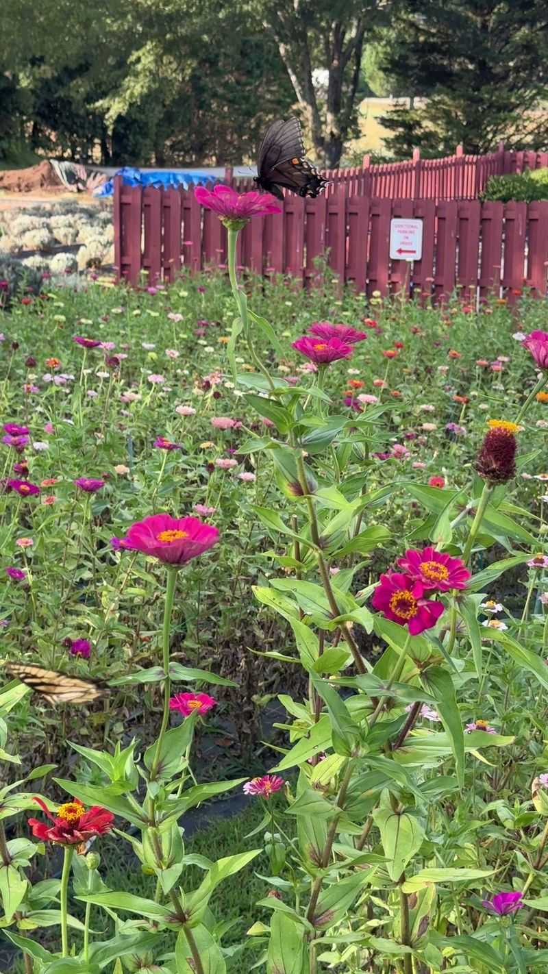 Escape From City Life And Technology