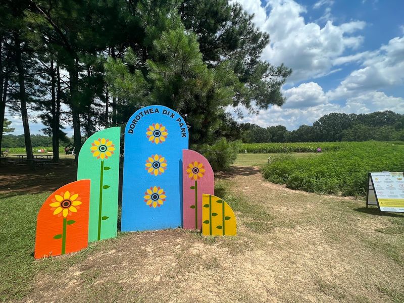 Photography Permits For Professionals