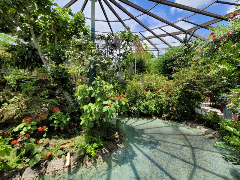 Tropical Gardens And Nectar Trails