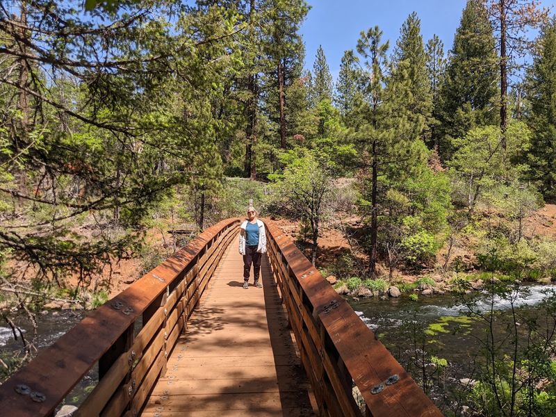 Seasonal Visitors Arrive In Spring