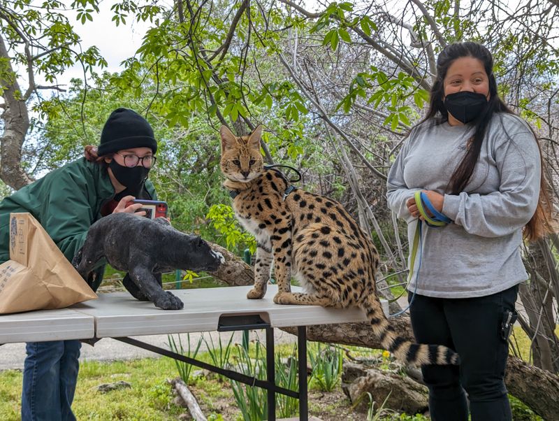 Guided Tours And Experiences