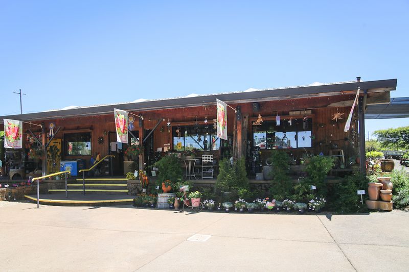 Contact Options For Questions And Information