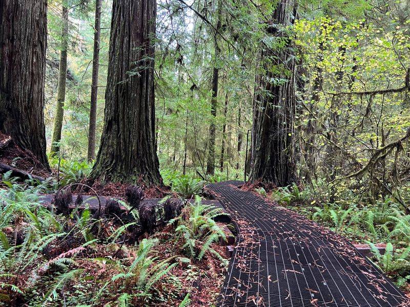 Trail Length And Features