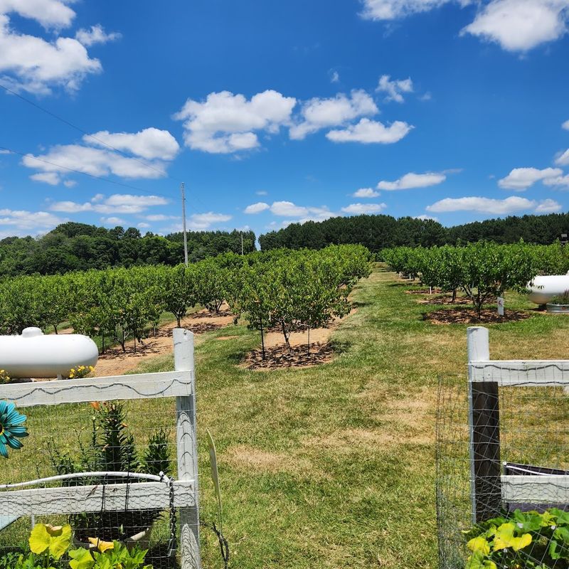 Seasonal Signs And Updates