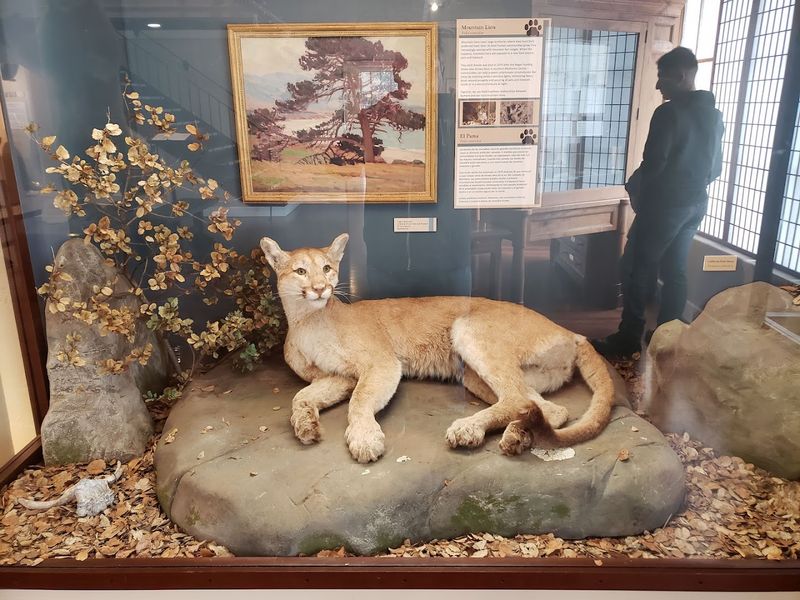 Pacific Grove Museum Of Natural History