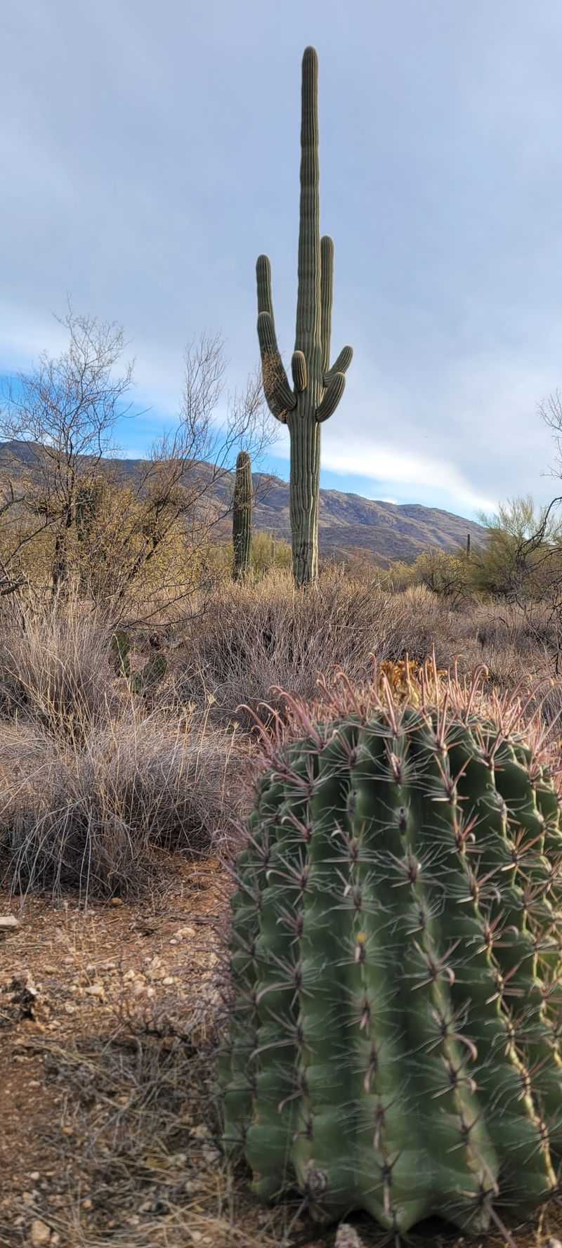 National Parks You Can Visit From The Route