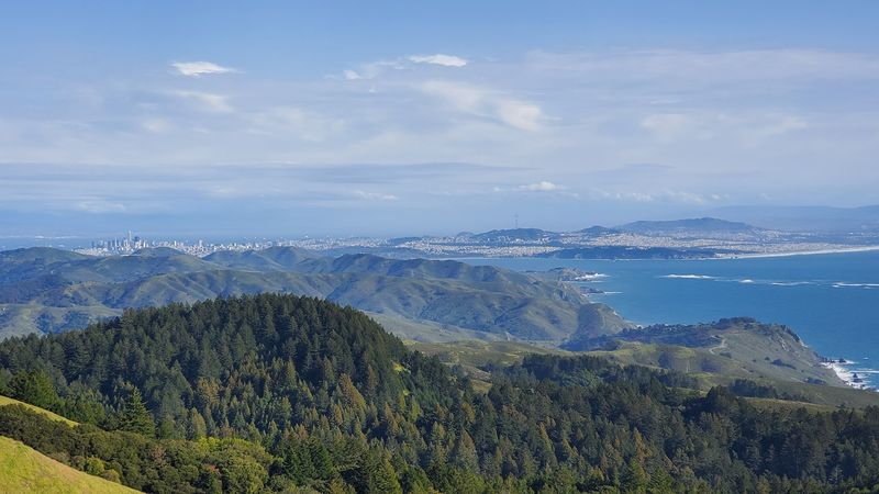 Mount Tamalpais State Park