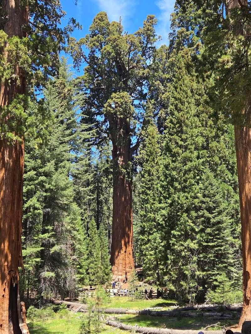 Sequoia National Park