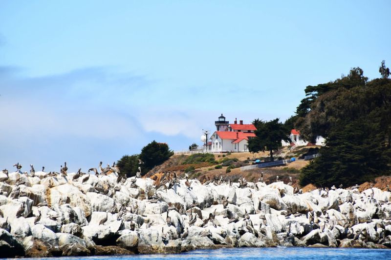 Educational Focus And Conservation Message