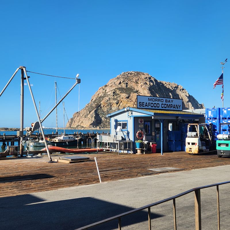 Fresh Seafood Restaurants Line The Embarcadero