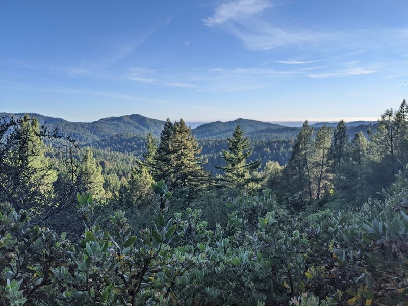California's Oldest State Park Is Filled With Redwoods That Are Over 1,000 Years Old - Decor Hint Park Spans Over 18,000 Acres Of Diverse Terrain