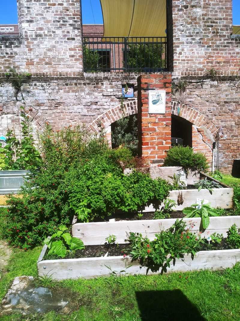 This Savannah Georgia Children's Museum Feels Like A Playground With A Purpose - Decor Hint Sensory Garden Discovery Zone