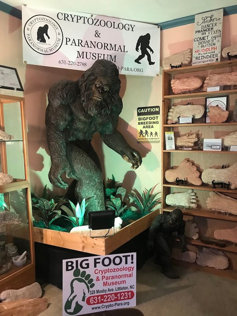 Enter A North Carolina Museum Haunted By Secrets You Can’t Explain - Decor Hint Annual Paranormal Bigfoot Festival Draws Regional Enthusiasts
