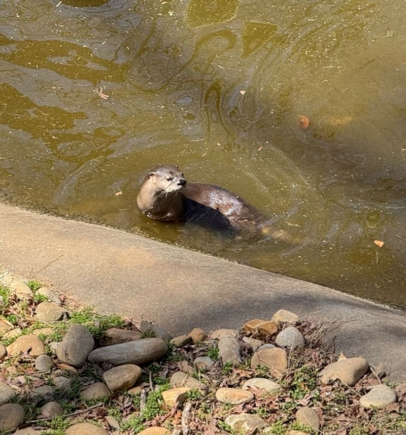 Diverse Wildlife Exhibits Across The Park
