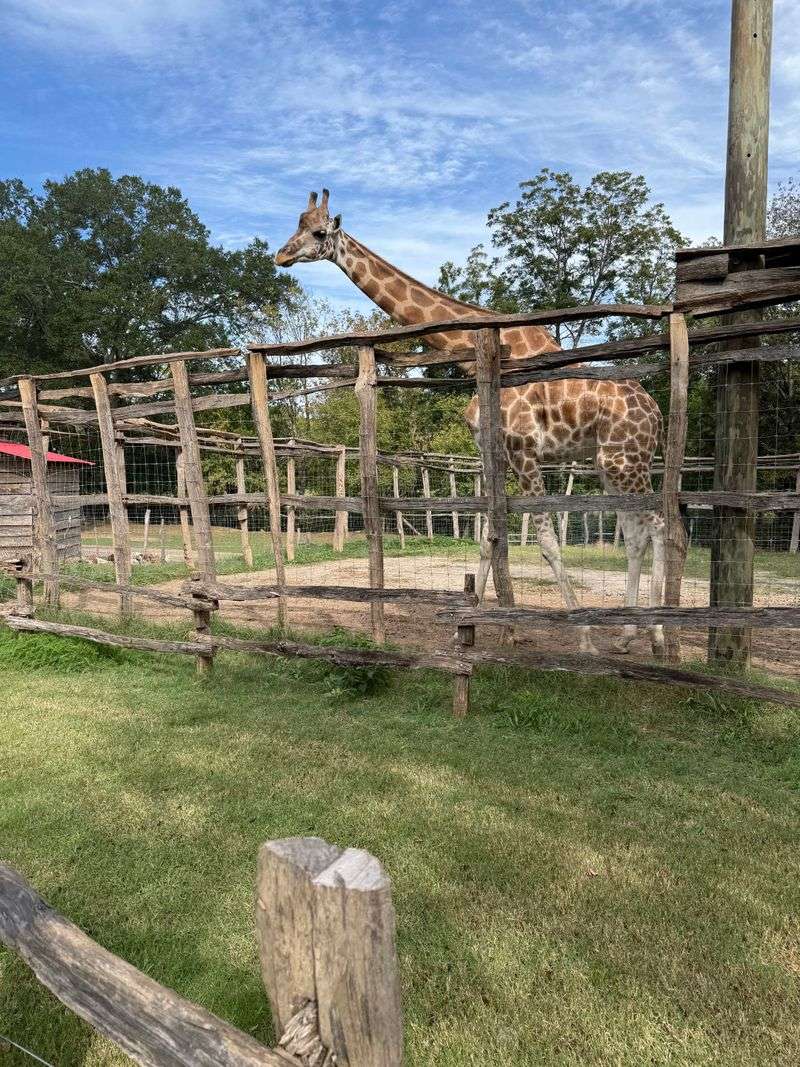 Experience Traditional Farm Life With a Twist