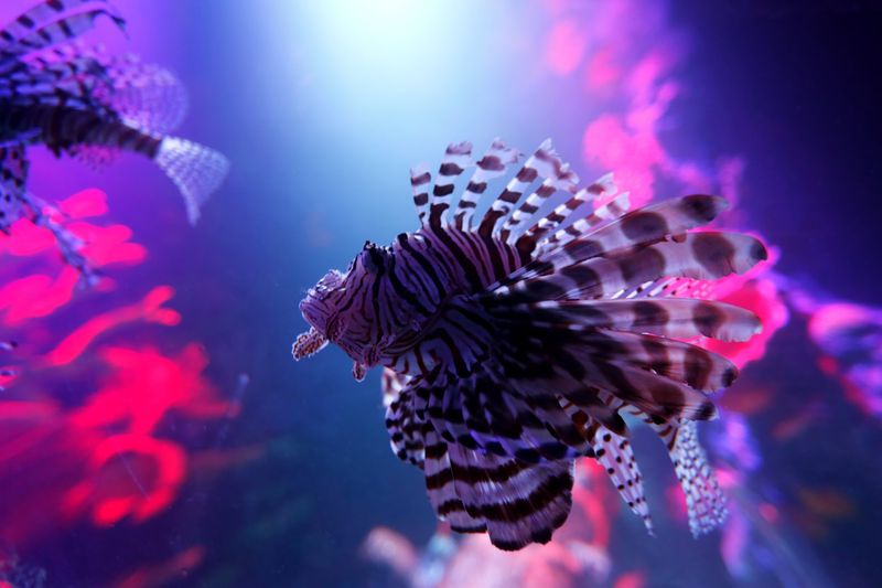 The 180 Degree View That Tricks Your Brain