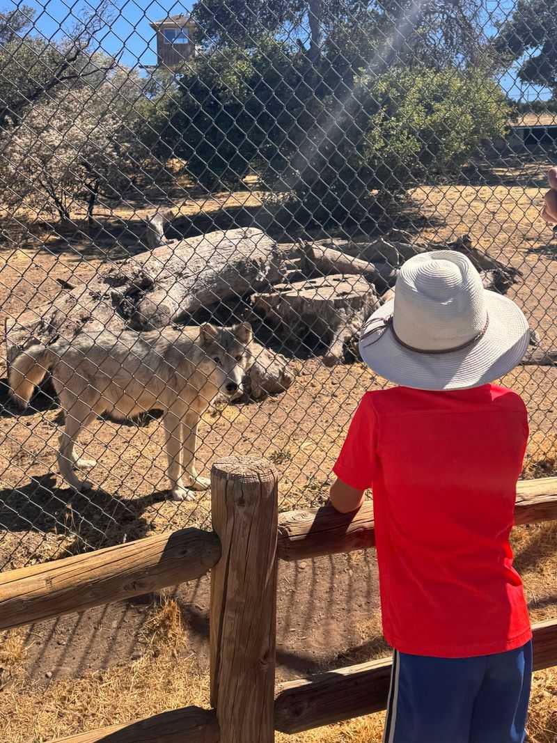 Guided Tours Through Mountain Terrain