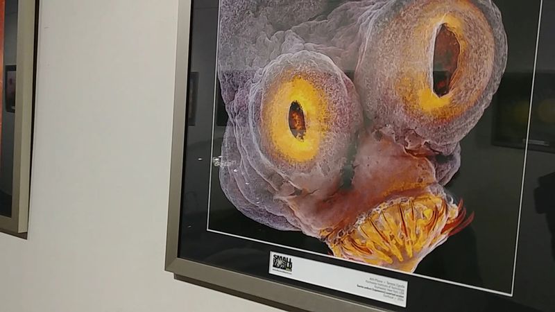 See A Real Apollo Spacecraft And A 10K Planetarium For Free At This Hidden Atlanta Georgia Gem - Decor Hint Climate and Weather Exhibits